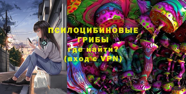 ешки Алзамай