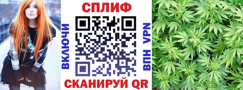Бошки марихуана конопля  Новокубанск 